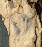 Cueva de Ardales o de doña Trinidad