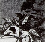 El sueño de la razón produce monstruos (Capricho 43) 1796-97, grabado al aguafuerte, 21 x 15 cm., Calcografía Nacional, Madrid [Detalle]
