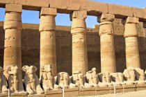Avenida de las Esfinges de Templo de Karnak