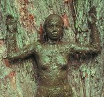 Ana Mendieta, "The Tree of Life", 1977