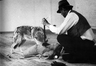 Joseph Beuys, I like America and America likes Me. Ren&eacute; Block Gallery, Nueva York, 1974.