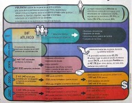 Estefan Cuanalo. Infograf&iacute;a publicada en S&iacute;ntesis "Violencia sobre las mujeres"
