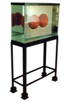 Two Ball Total Equilibrium Tank, 1985, Glass, steel, sodium chloride reagent, distilled water, basketball, 159 x 93 x 34 cm