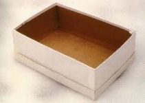 Gabriel Orozco. "Caja de zapatos vac&iacute;a" 1993 