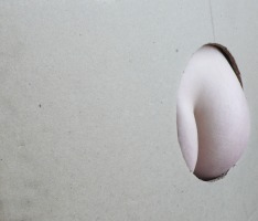 Diego Bianchi, El rito sigue mis pasos.