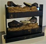 Edgar Morales "S&oacute;lo de paso" Premio Creadores Emergentes