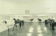 Jannis Kounellis y la obra realizada en 1969 en la Galería L´Attico de Roma