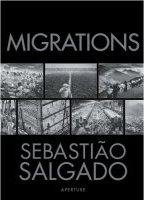 Migrations (Migraciones)