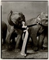 Richard Avedon 'Dovima with Elephants, Evening Dress by Dior', Cirque d'Hiver, Paris, Agosto 1955