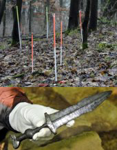 El bosque de Teutoburgo y una de las armas halladas en el lugar
