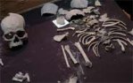 restos del esqueleto de un infante de entre 5 y 8 años de edad 