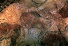 Bisontes de las Cuevas de Altamira